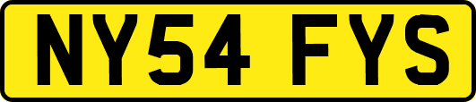 NY54FYS