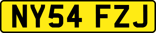 NY54FZJ