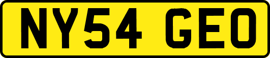 NY54GEO