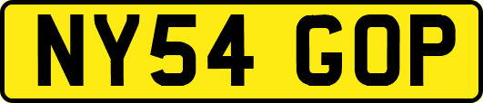 NY54GOP