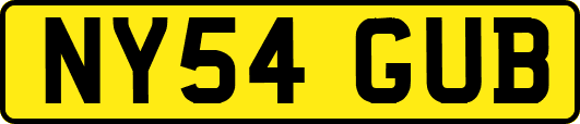 NY54GUB