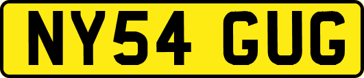 NY54GUG