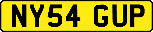 NY54GUP