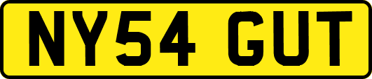 NY54GUT