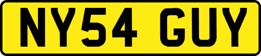 NY54GUY