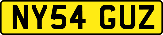 NY54GUZ