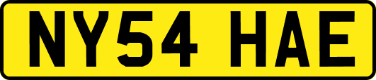NY54HAE