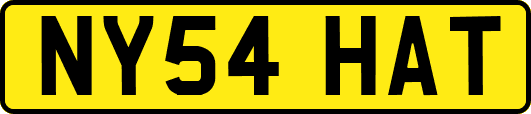 NY54HAT