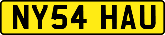 NY54HAU