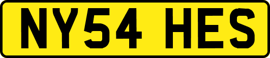 NY54HES