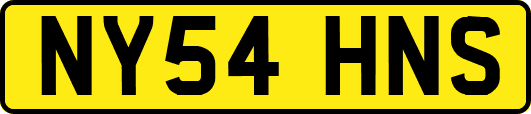 NY54HNS
