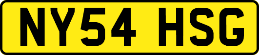NY54HSG