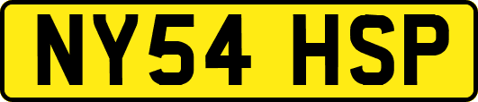 NY54HSP
