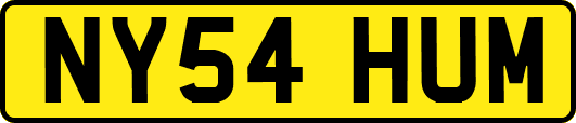 NY54HUM