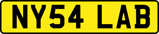 NY54LAB