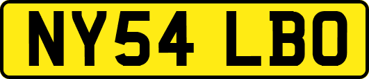 NY54LBO