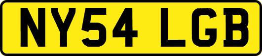 NY54LGB