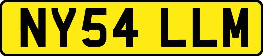 NY54LLM