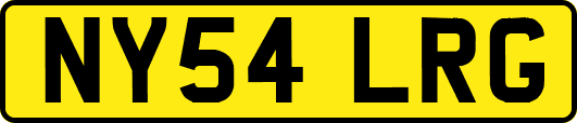 NY54LRG