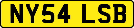 NY54LSB