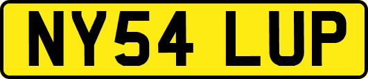 NY54LUP