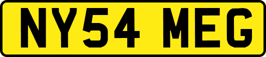 NY54MEG