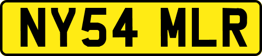 NY54MLR