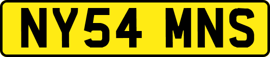 NY54MNS