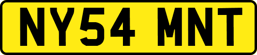 NY54MNT