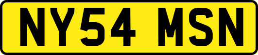 NY54MSN
