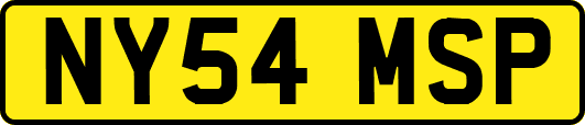 NY54MSP
