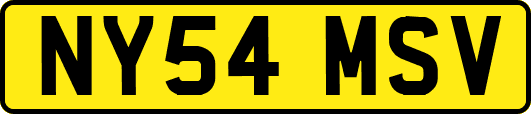 NY54MSV