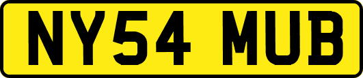 NY54MUB