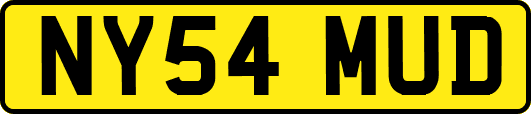 NY54MUD