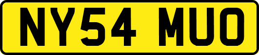 NY54MUO