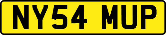 NY54MUP