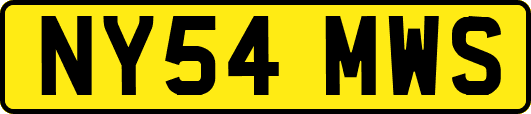 NY54MWS