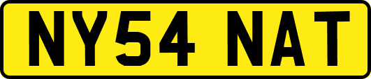 NY54NAT