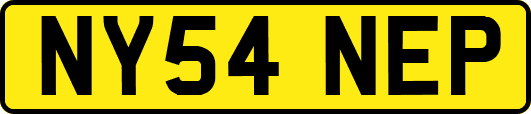NY54NEP