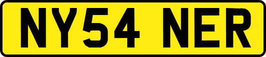 NY54NER