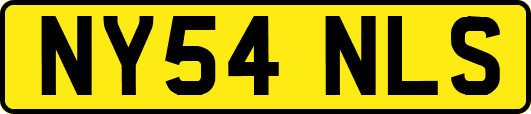 NY54NLS