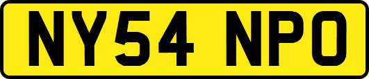 NY54NPO