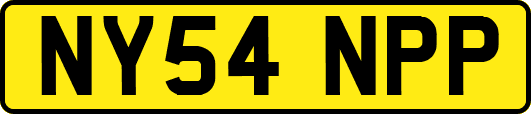 NY54NPP