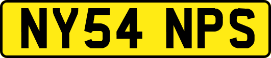 NY54NPS