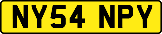 NY54NPY