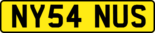 NY54NUS