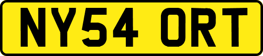 NY54ORT