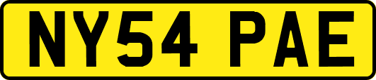 NY54PAE