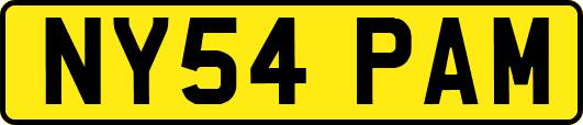 NY54PAM