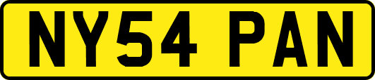 NY54PAN
